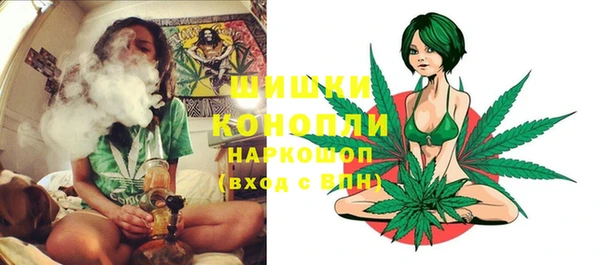 тгк Володарск